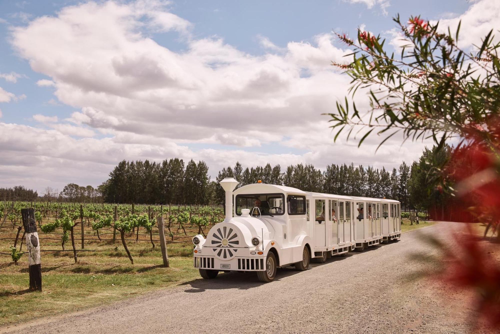 Rydges Resort Hunter Valley Lovedale Exterior photo